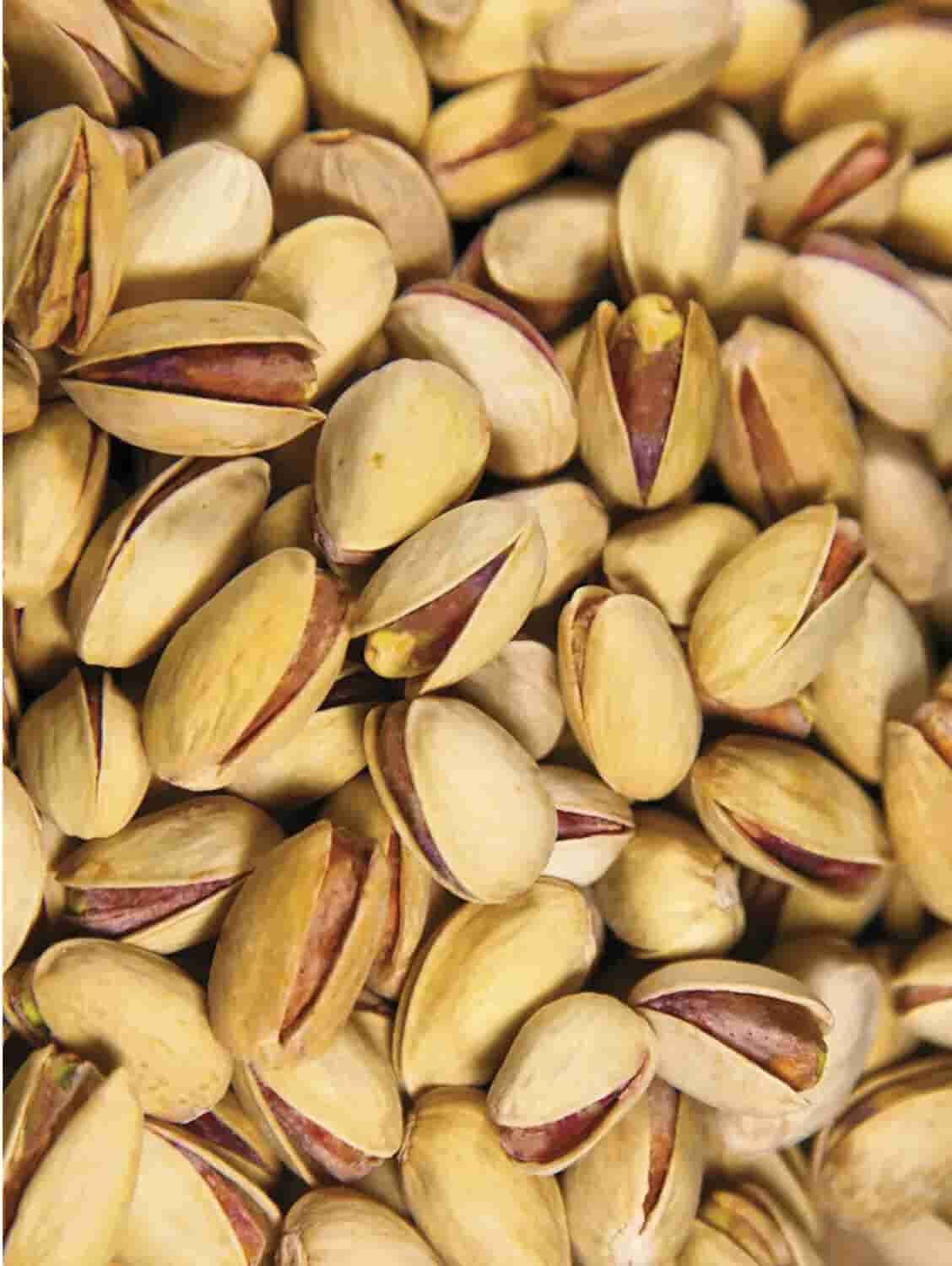 قیمت و خرید پسته اکبری خام انس 20 + فروش ارزان